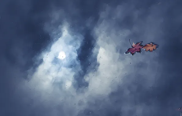 Autumn, leaves, water, reflection