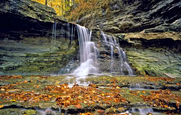 Picture autumn, leaves, waterfall