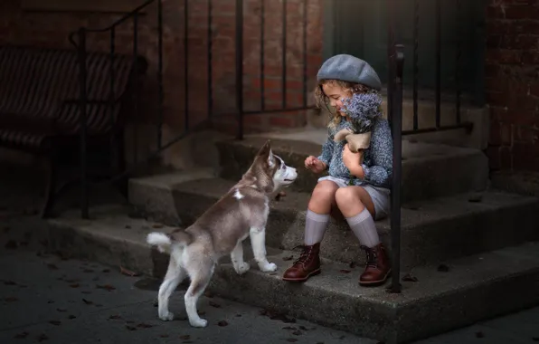 Flowers, mood, dog, girl, puppy, stage, husky, a bunch