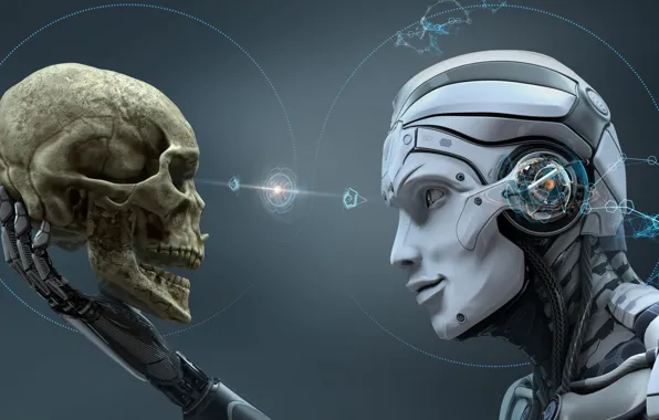 Look, skull, robot, technology, sake, robot, the study, look