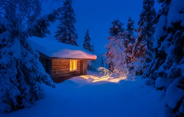 Picture winter, light, snow, trees, landscape, night, nature, hut