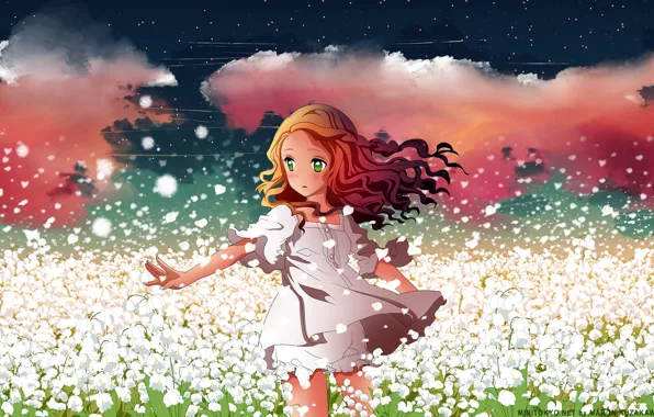 Field, the sky, girl, stars, clouds, flowers, anime, petals