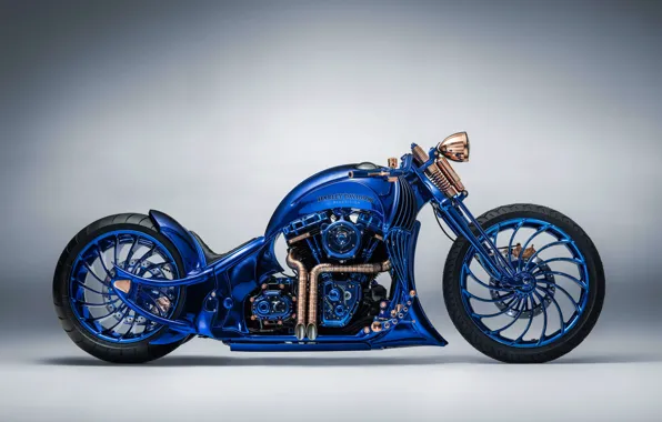 Picture Blue, Harley-Davidson, Cruiser, Side, Bucherer, Harley-Davidson Blue Edition, Special edition bike, Special Edition Motorcycle