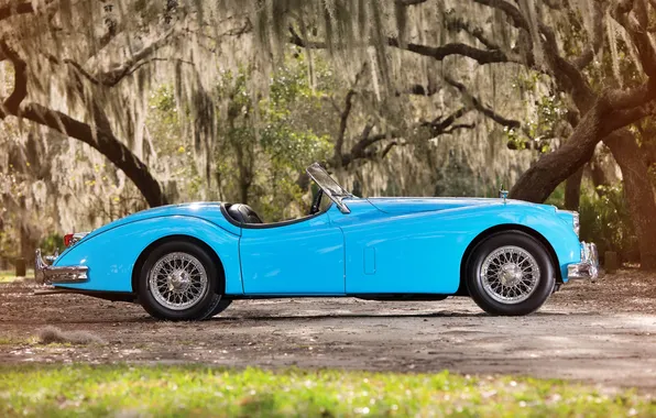 Machine, Jaguar, car, jaguar xk140 mc roadster