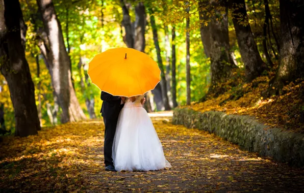 Autumn, girl, trees, love, yellow, umbrella, Wallpaper, mood