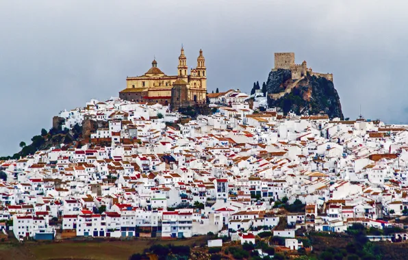 Castle, mountain, home, Cathedral, Spain, Olvera