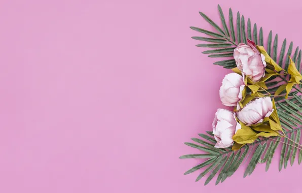 Background, bouquet, Peonies, the palm leaf