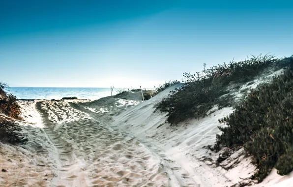 The sky, Water, Sand, The ocean, Beach, Grass