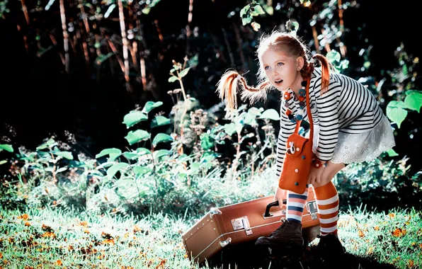 Picture summer, nature, girl, braids, suitcase, knee, Pippi, Longstocking