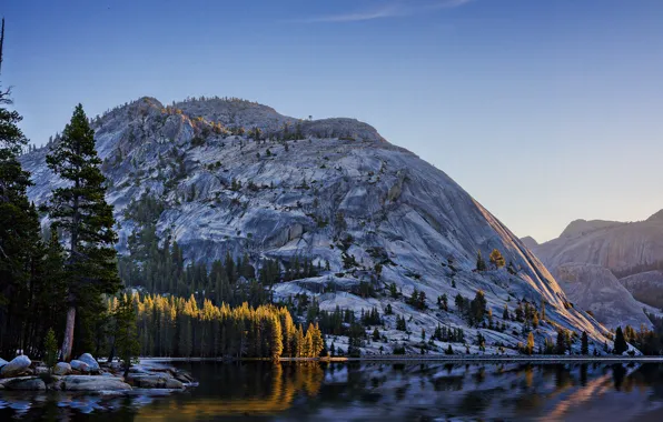 CA, USA, Yosemite, Yosemite national Park, Tenaya Lake