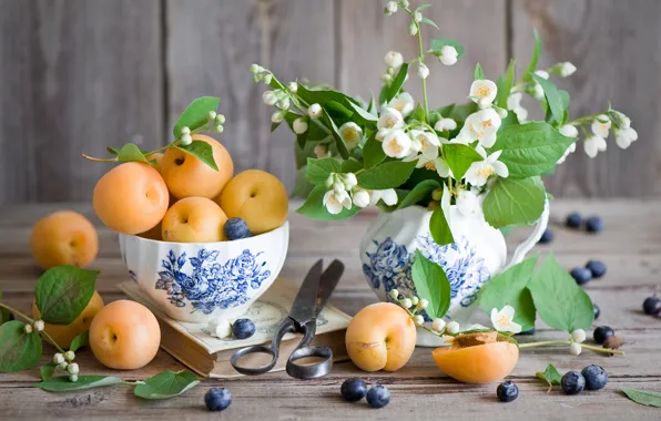 Picture blueberries, apricots, Jasmine
