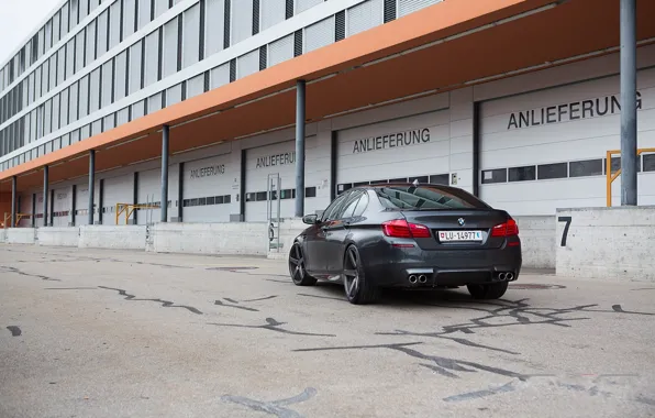 Black, the building, Windows, BMW, BMW, black, back, f10