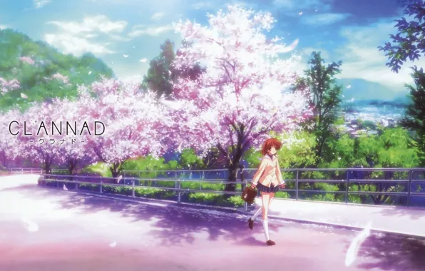Road, girl, Sakura, Clannad, Clannad, Nagisa Furukawa