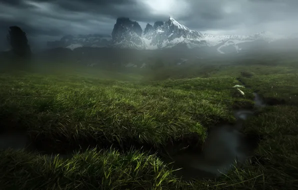 Picture greens, grass, mountains, fog, stream, overcast, snowy peaks
