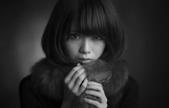 Picture look, portrait, fur, black and white photo