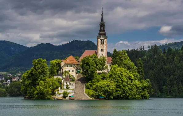 Forest, trees, mountains, lake, island, home, ladder, Church