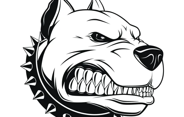 Art, Pitbull, avatar, Pit bull, angry dog, the dog