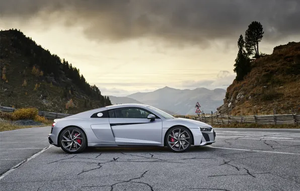 Audi, supercar, Audi R8, side view, Coupe, V10, 2020, RWD