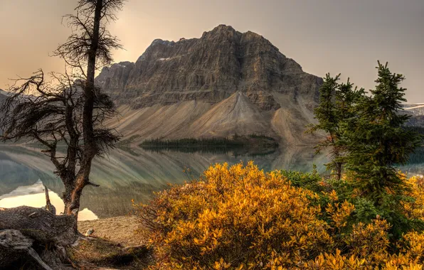 Picture mountain, Canada, Albert, Banff National Park, Alberta, Canada, the bushes, Banff