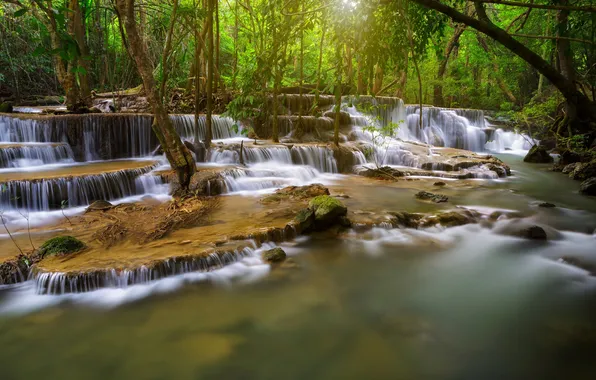 Autumn, forest, trees, river, stream, cascade