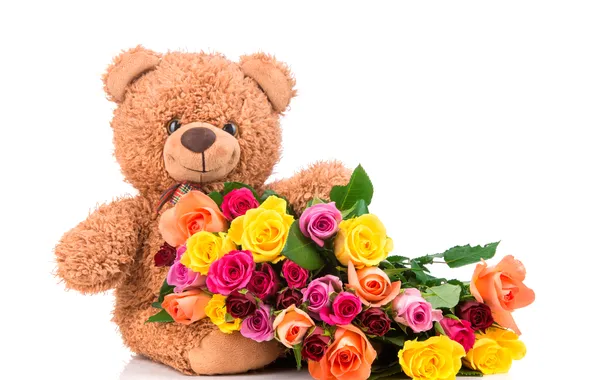 Roses, colorful, bear, bear, flowers, roses, with love, Teddy