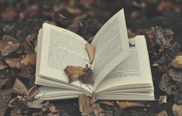 Leaves, letters, book, leaves, book, letters, open book, open book