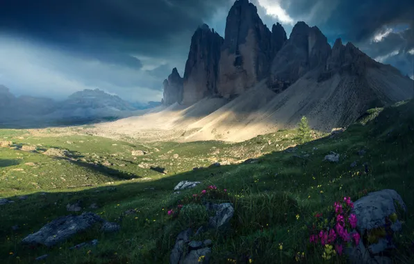 Grass, landscape, flowers, mountains, clouds, nature, stones, Alps