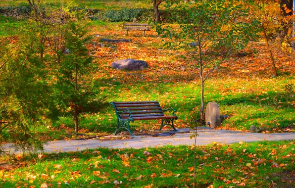 Autumn, Bench, Park, Fall, Foliage, Park, Autumn, Colors