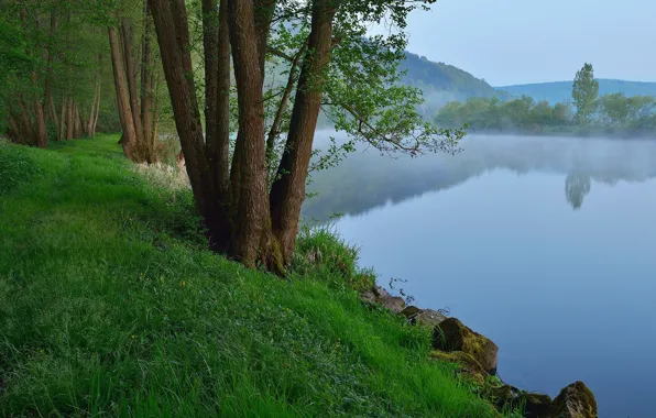 Picture grass, trees, landscape, nature, rocks, morning, River, mist