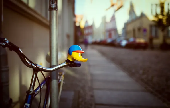 Picture bike, house, duck
