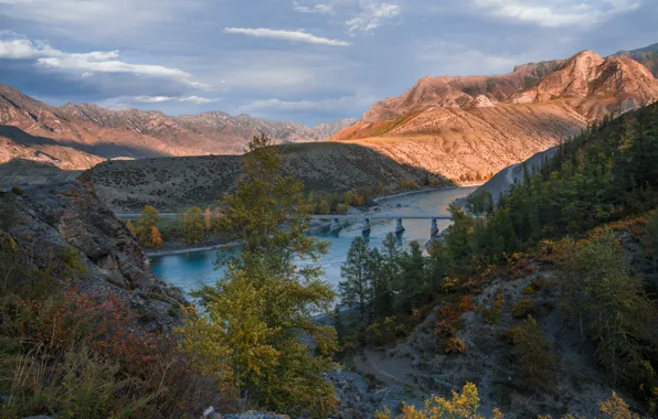 Picture landscape, mountains, bridge, nature, river, Katun, Altay