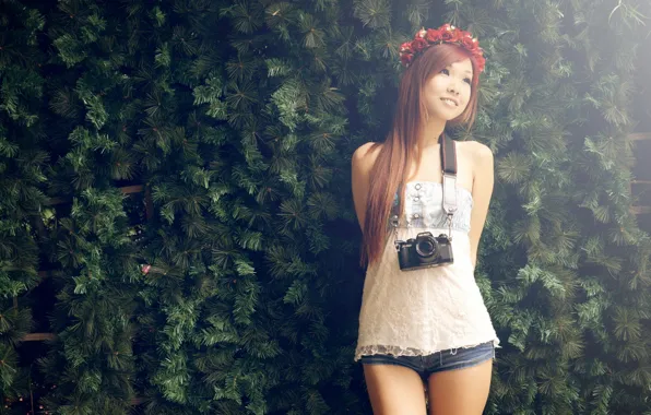 Asian, wreath, coniferous wall, camera.