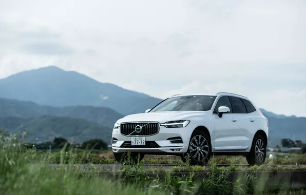 Picture white, grass, Volvo, XC60, Inscription, CUV, B5