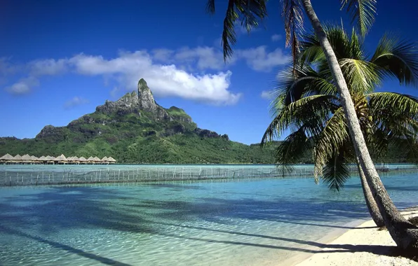 Polynesia, French, Bora Bora