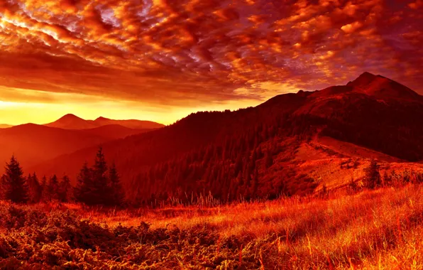 Mountains, Forest, Clouds, Ate, Grass