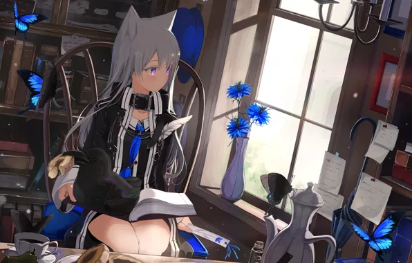 Girl, flowers, table, room, bird, window, donuts, handle