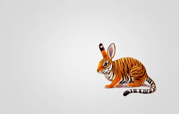 Tiger, animal, hare, minimalism, rabbit, painting, tailed