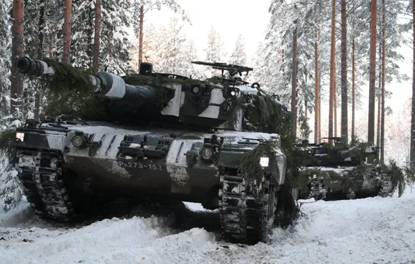 Picture Leopard 2A6, German, Winter Forest, The Main Tank, Leopard 2