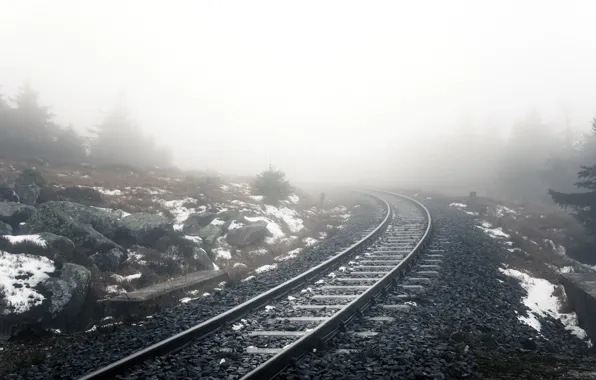 Nature, fog, railroad
