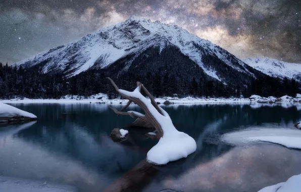 Winter, forest, stars, snow, mountains, night, lake, tree
