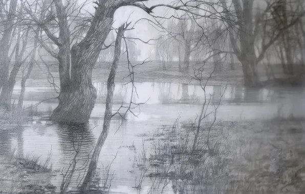 Picture trees, fog, figure, pencil