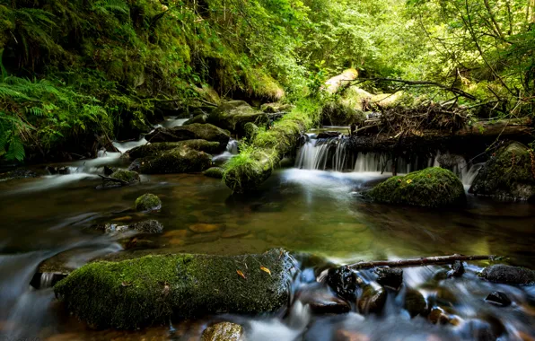 Picture stream, stones, France, moss, The Monne