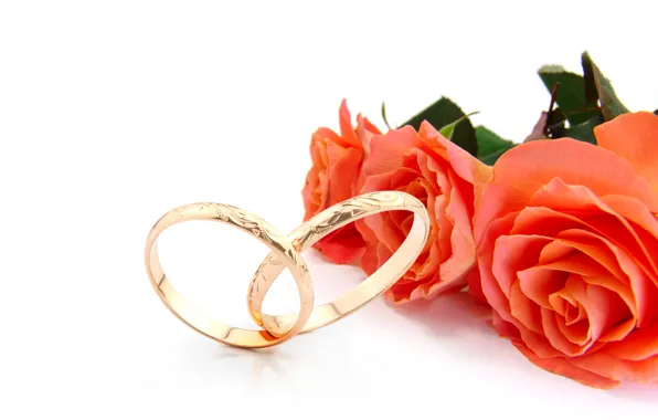 Flowers, roses, flowers, engagement rings, roses, wedding rings