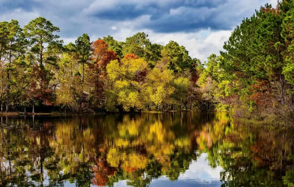 Autumn, forest, the sky, water, the sun, clouds, trees, reflection