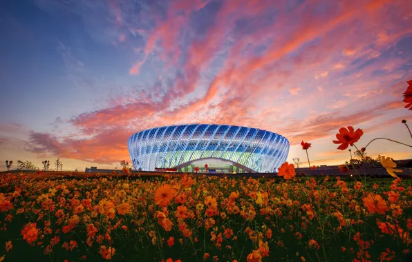 Field, the sky, sunset, flowers, the city, the building, the evening, Singapore