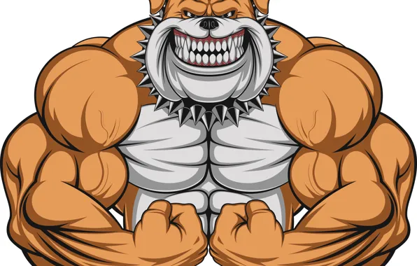 Dog, bulldog, beast, Art, muscle, dog, muscles, bodybuilder