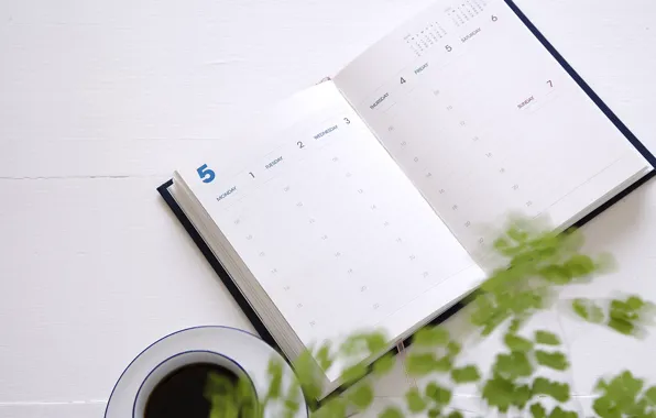 Picture plant, coffee, Cup, Notepad, diary