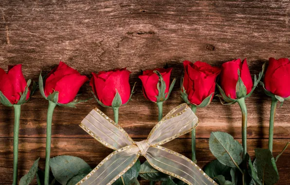 Flowers, roses, bouquet, tape, red, red, bow, buds