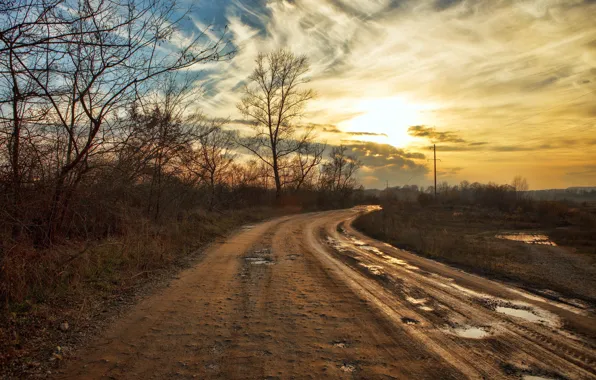 Picture road, sunset, nature