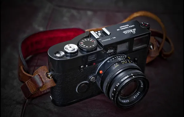 Macro, background, camera